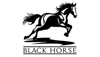 master_0021_blackhorse copy