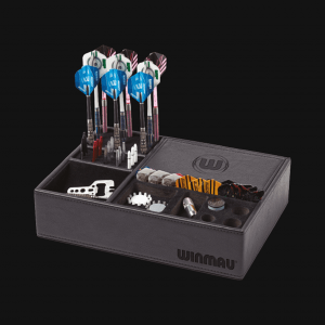 Dart Hub